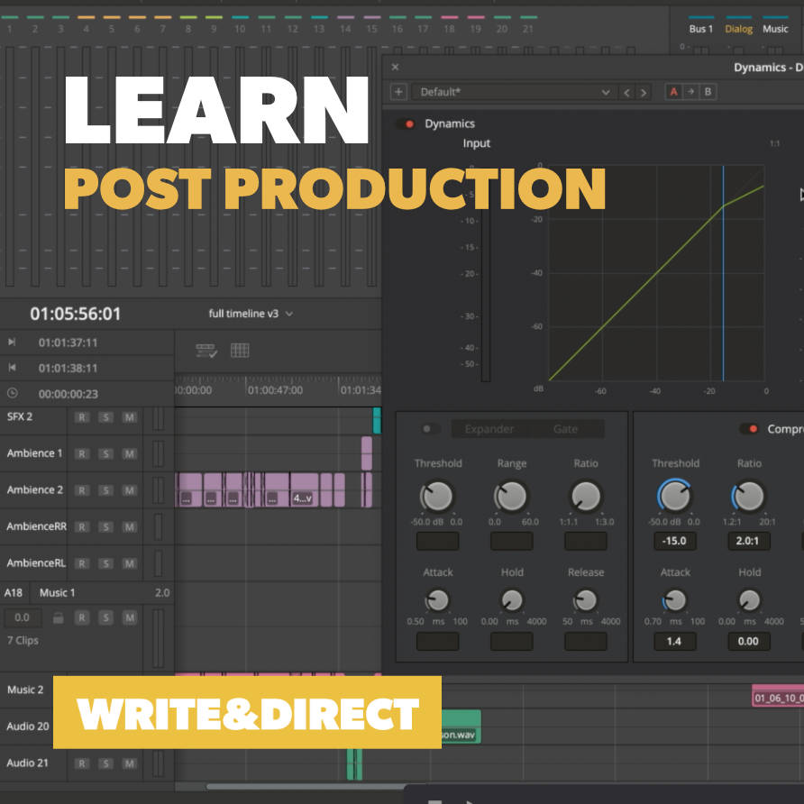 Write & Direct Film School